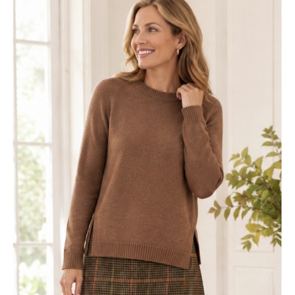 Elliot Lauren Crewneck Long Sleeve Brown Minimalist Sweater Side Slits XS EUC